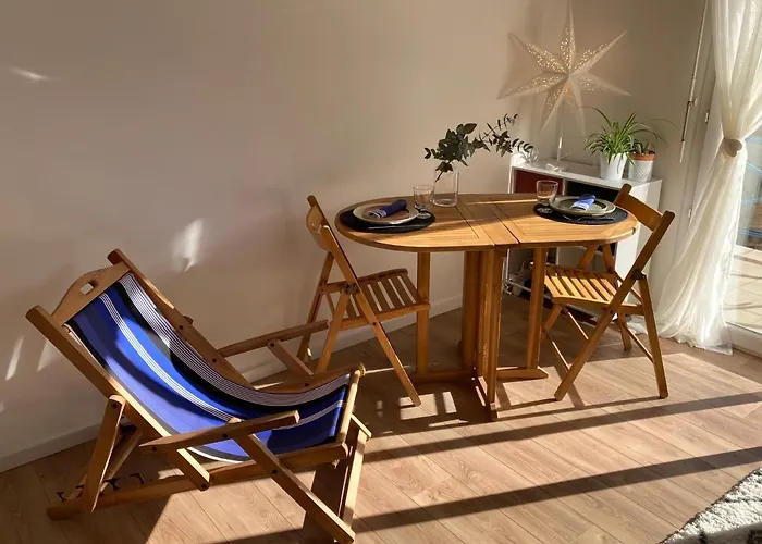 公寓 Cosy Avec Piscine A 安格雷