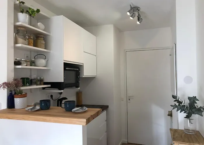 Cosy Avec Piscine A 公寓 安格雷